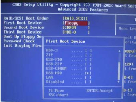 In BIOS find "First Boot Device" and Select USB-HDD