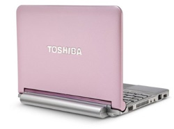 Toshiba Mni NB205 in silver and pink